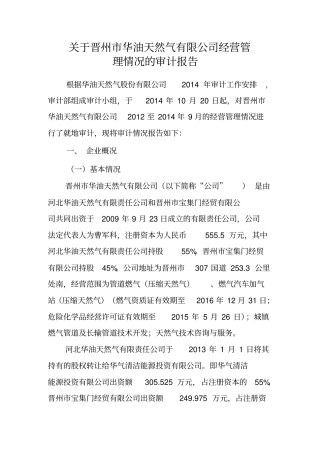 晋州华油天然气有限公司审计报告