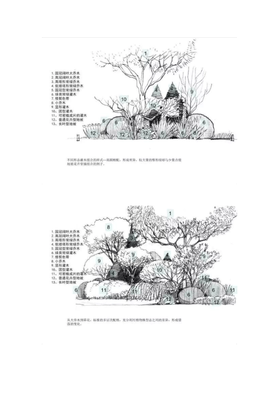 景观植物配置汇总_第3页