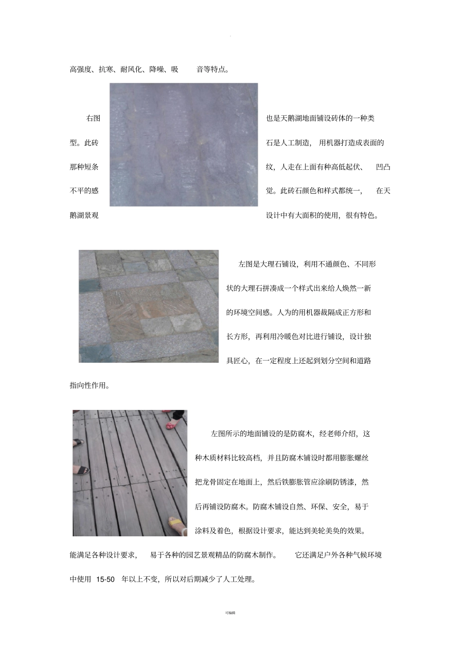 景观调研报告_第2页