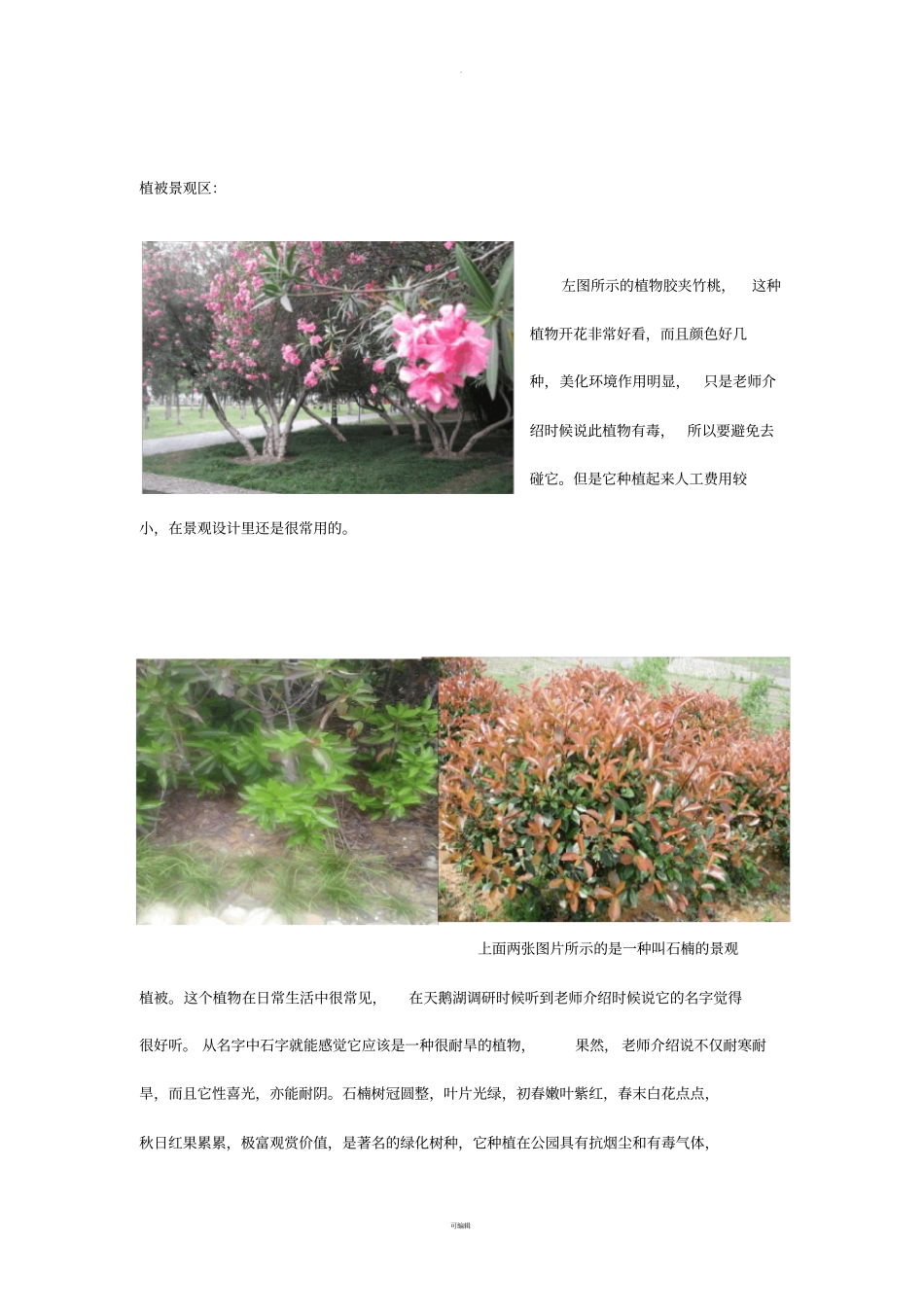 景观调研报告_第3页