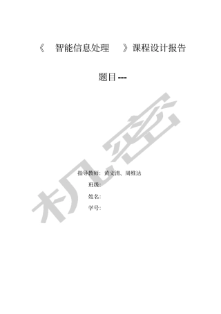 智能信息处理课程设计报告格式