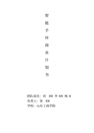 智能手环商业实施计划书