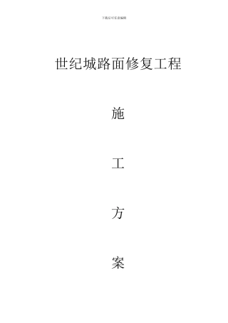 世纪城路面修复工程