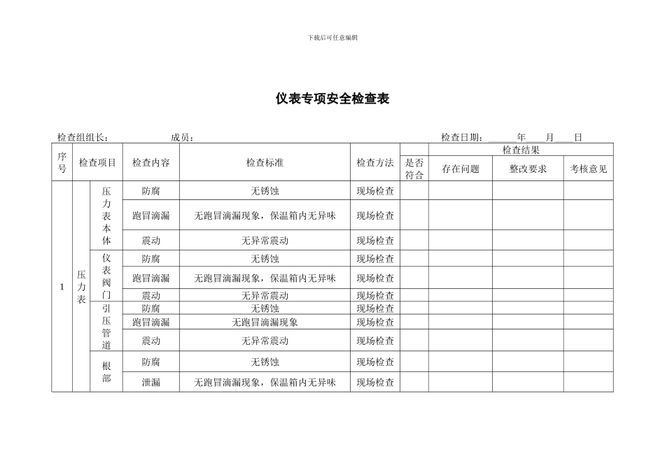 仪表专项安全检查表_第1页