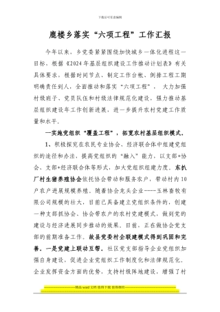 六项工程汇报