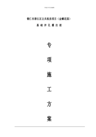 冲孔专项施工方案