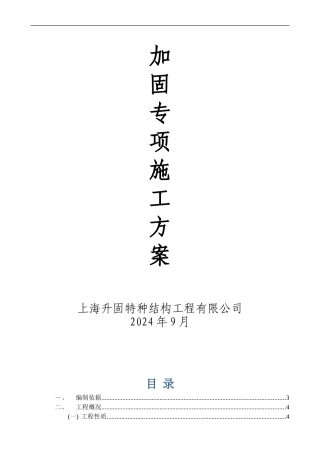 加固专项施工方案