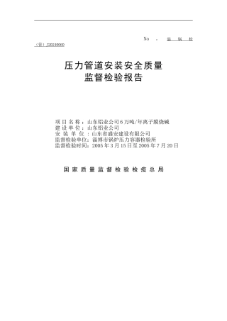 压力管道检验报告