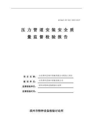 压力管道监检报告