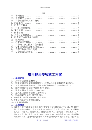 商业广场塔吊群吊专项施工方案