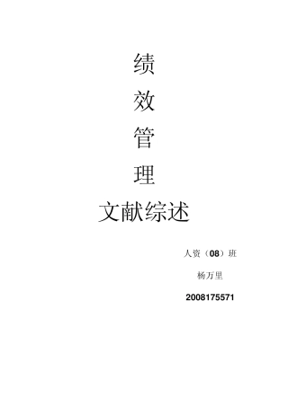 绩效管理文献综述