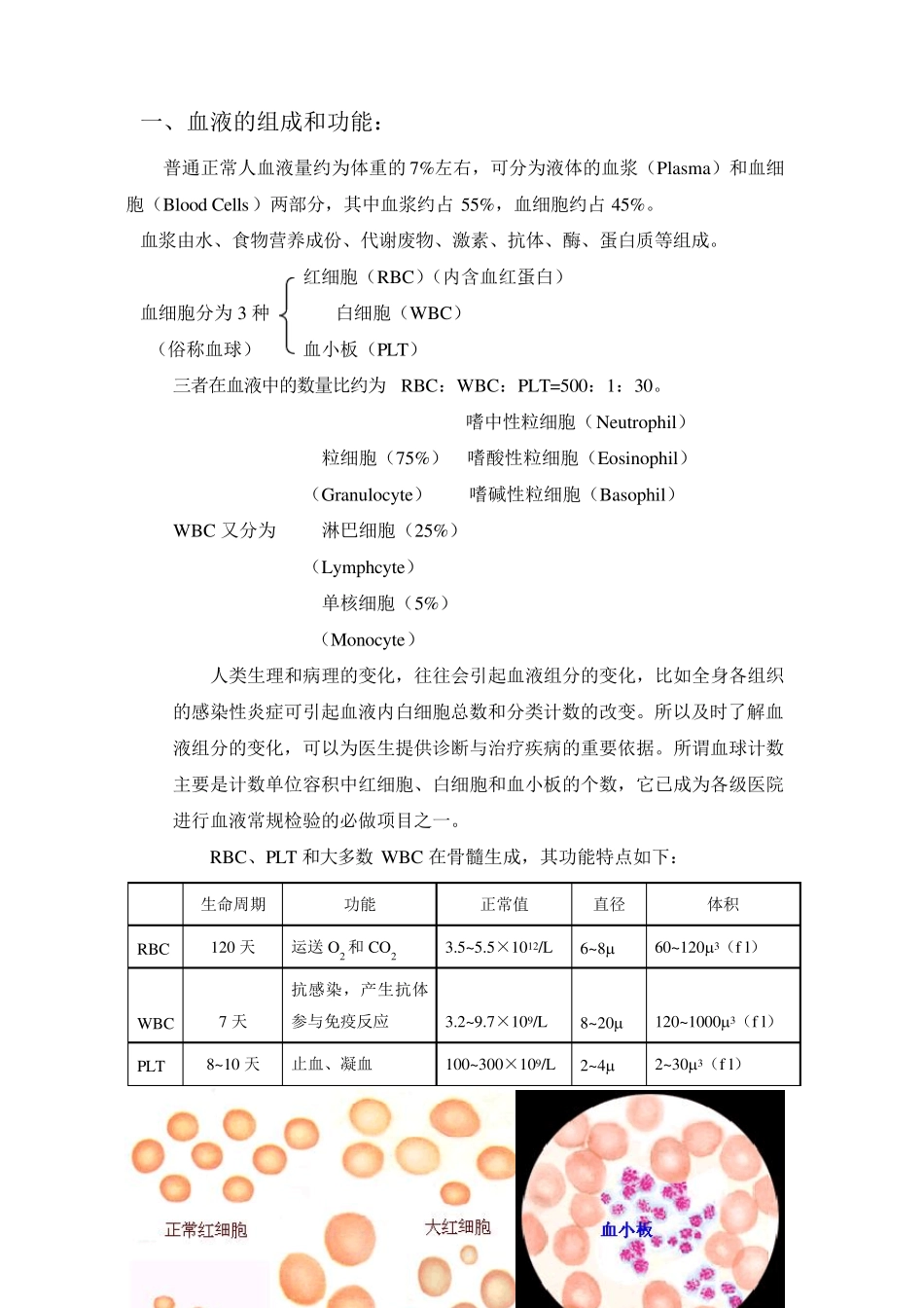 维修血球仪基础知识_第1页