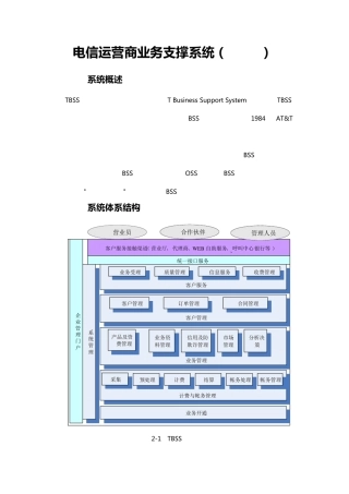 综合业务支撑系统(TBSS)简介