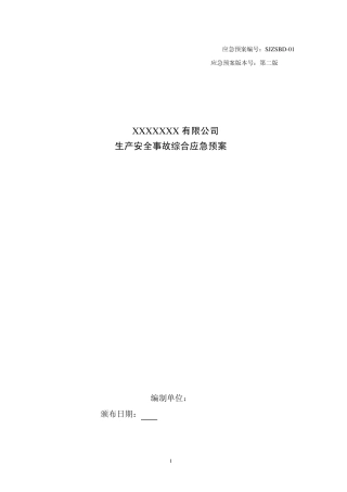 综合应急救援预案()