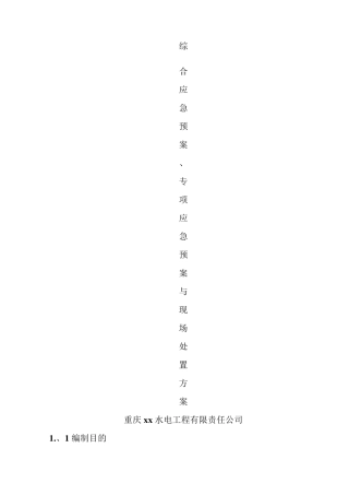 综合应急预案专项应急预案与现场处置方案
