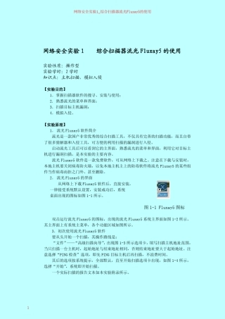 综合扫描器流光Fluxay5的使用