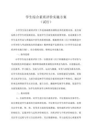 综合素质评价实施方案