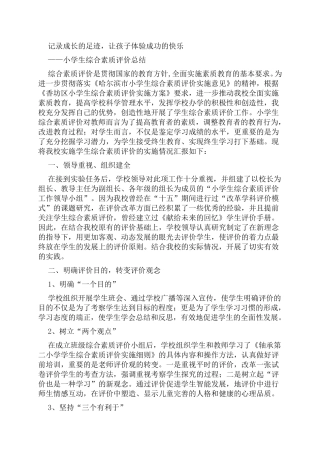 综合素质评价报告