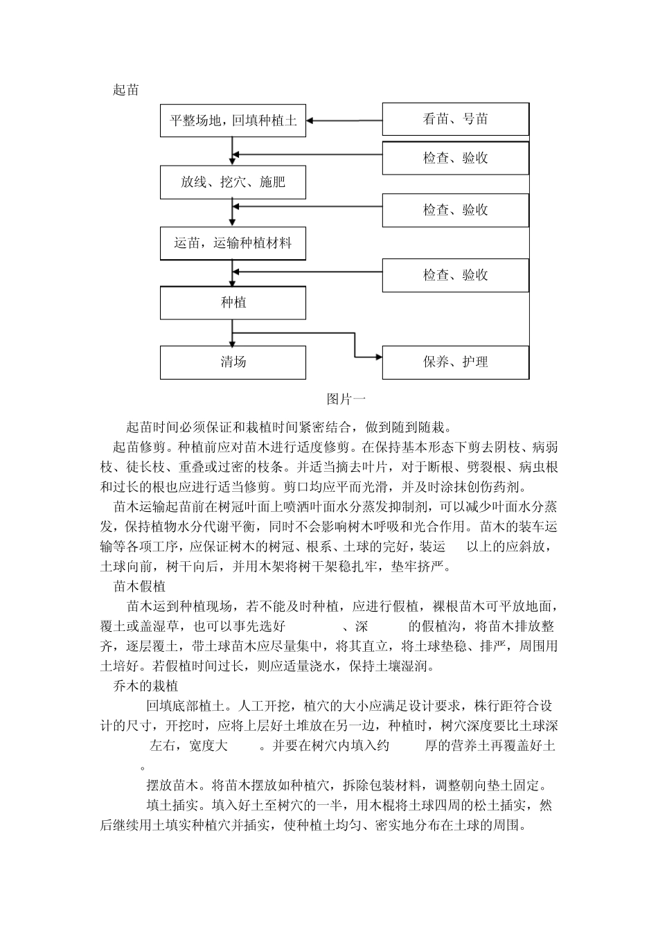 绿化植物种植技术_第2页