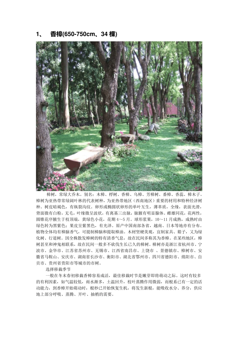 绿化种植方案_第1页