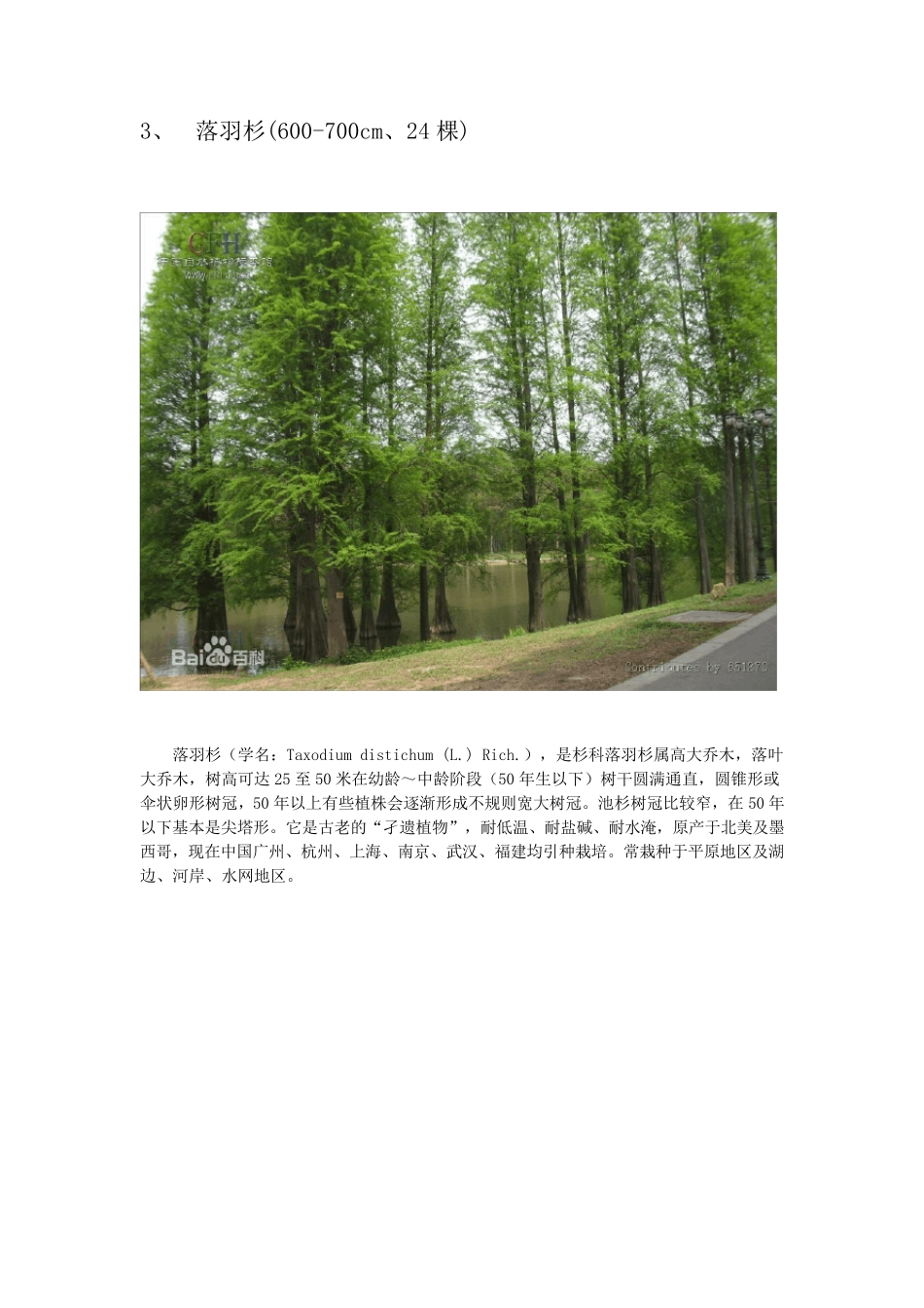 绿化种植方案_第3页