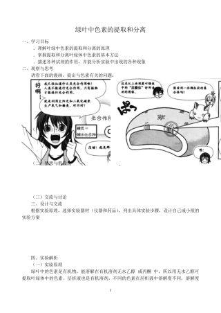 绿叶中色素的提取和分离