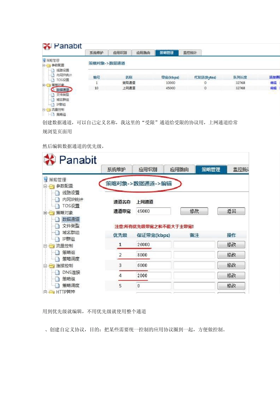 超实用的PANABIT策略配置_第2页