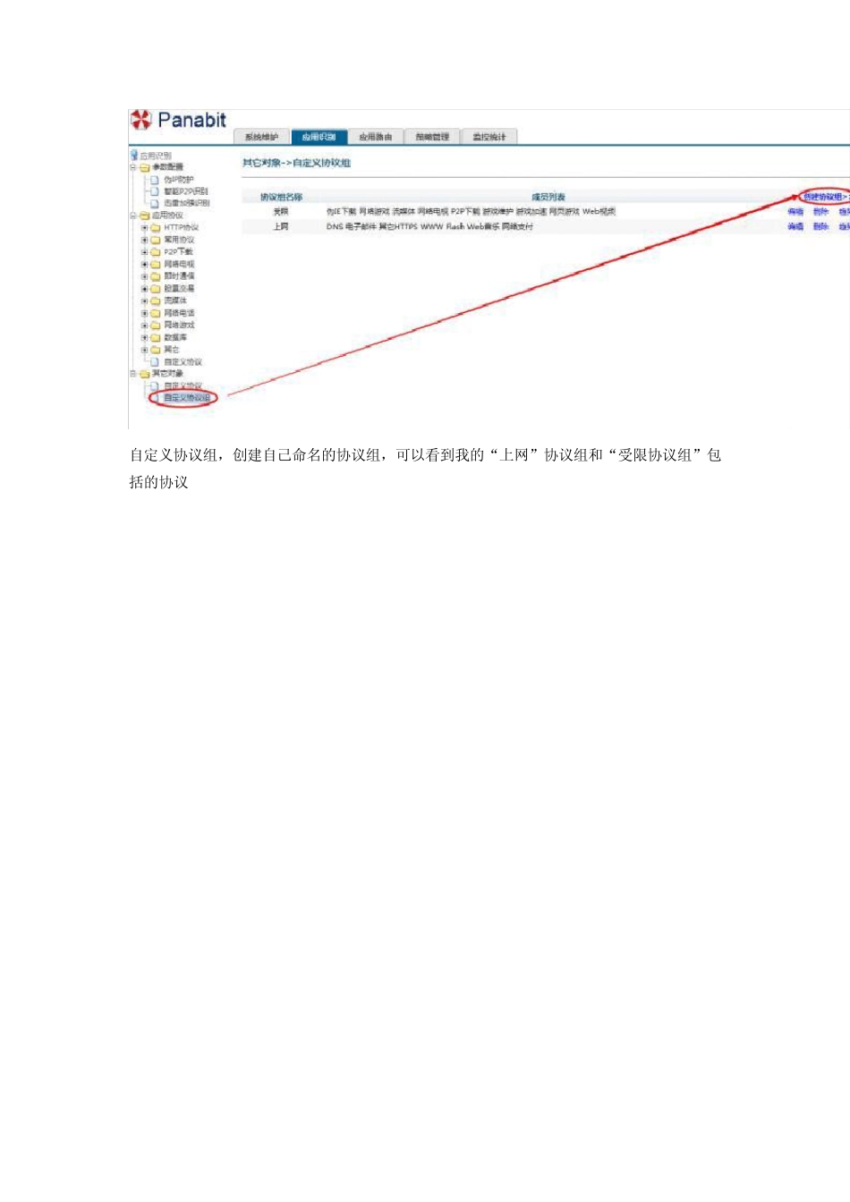 超实用的PANABIT策略配置_第3页