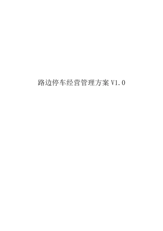 路边停车经营管理方案