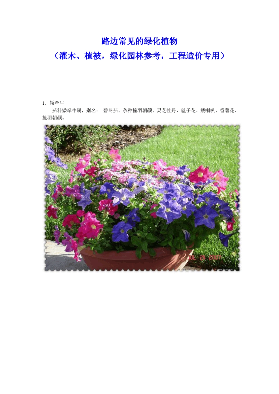 路边常见的绿化植物100余种(灌木、植被,绿化园林参考,工程造价专用)_第1页