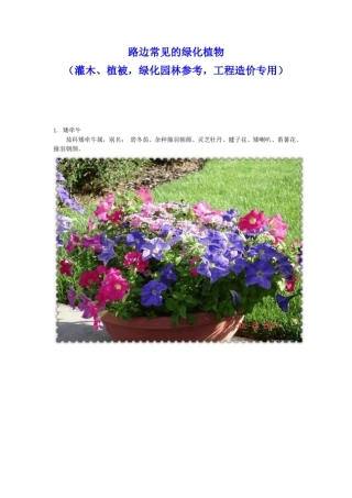 路边常见的绿化植物100余种(灌木、植被,绿化园林参考,工程造价专用)