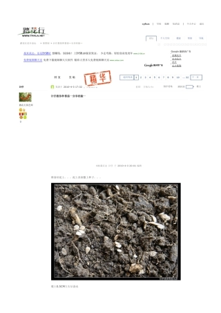 踏花行计仔教你种番茄