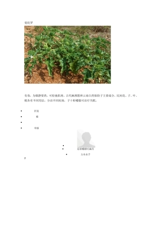 身边常见中草药