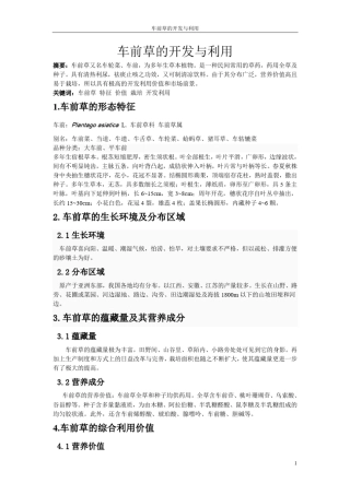 车前草的开发与利用