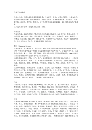 车厘子等级划分