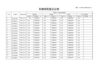车辆保险台账