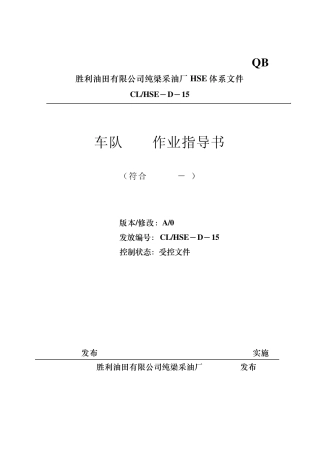 车队作业指导书