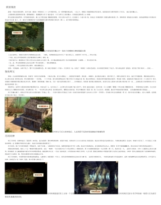 轩辕剑3外传之天之痕完美攻略