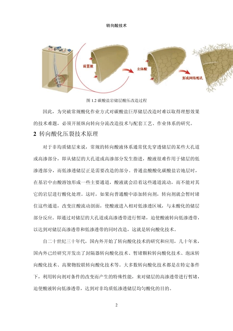 转向酸化技术_第2页