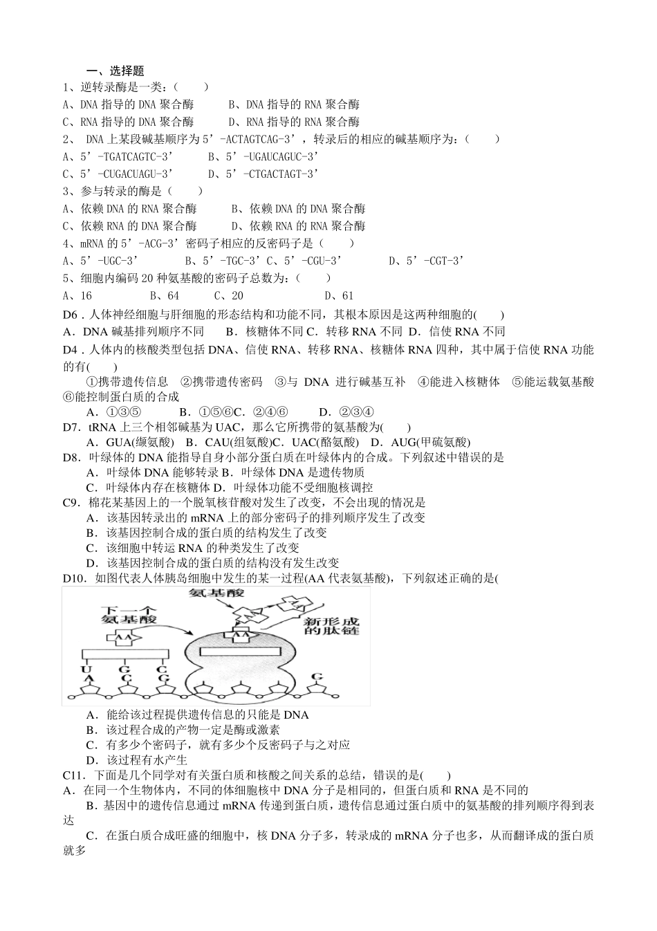 转录翻译试题_第1页