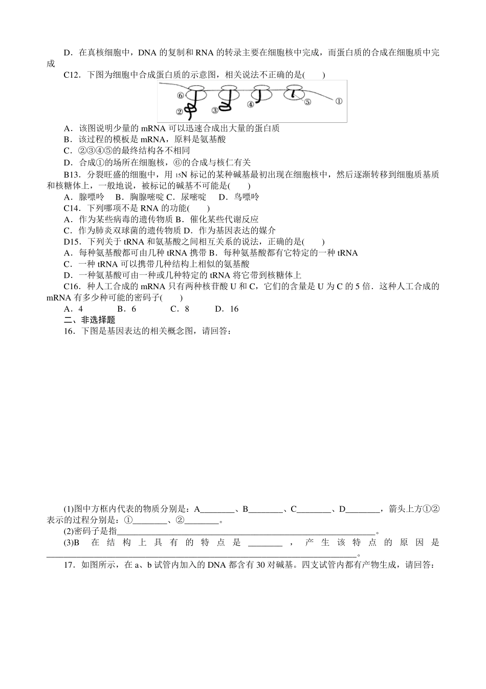 转录翻译试题_第2页