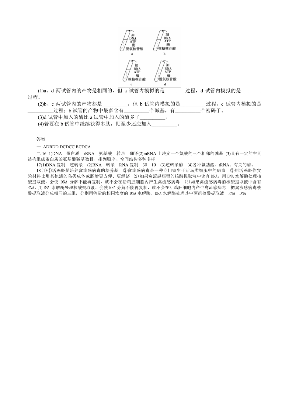 转录翻译试题_第3页