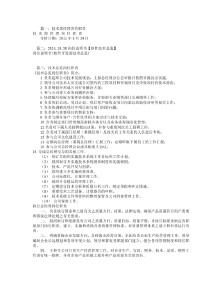 软件技术总监岗位职责(共9篇)