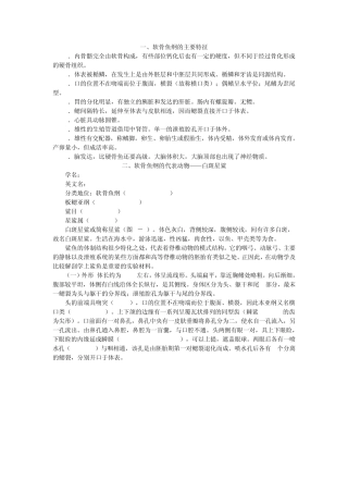 软骨鱼纲的主要特征