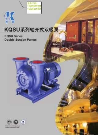 轴开式双吸泵KQSU系列