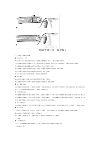 输尿管镜技术(秘笈版)