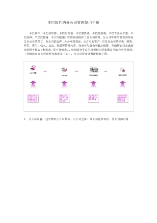 辛巴软件分公司设置以及使用手册