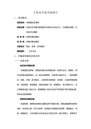辛集皮革城考察报告