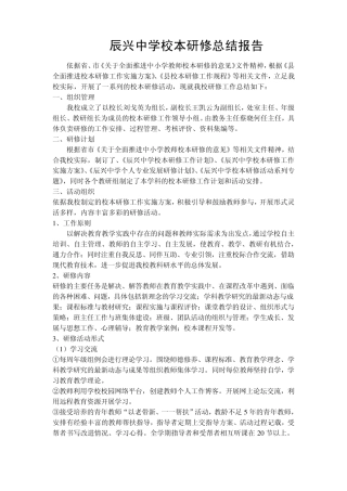 辰兴中学校本研修总结报告