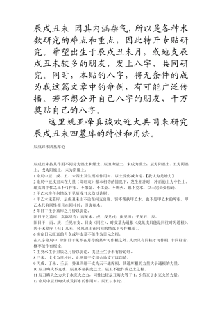 辰戌丑未文档